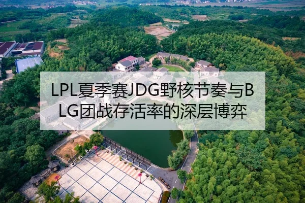LPL夏季赛JDG野核节奏与BLG团战存活率的深层博弈