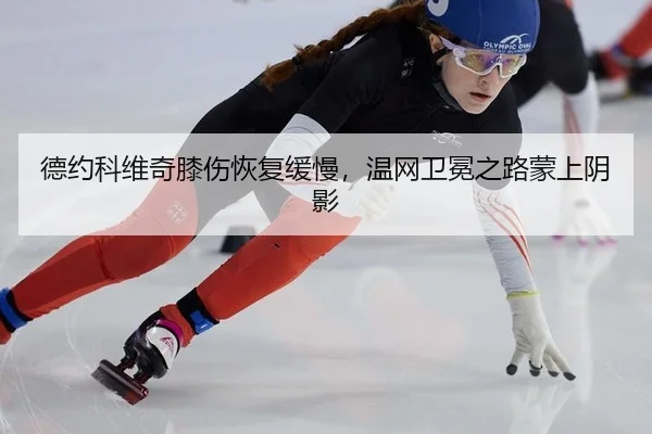 de-yue-ke-wei-qi-xi-shang-hui-fu-huan-man-wen-wang-wei-mian-zhi-lu-meng-shang-yin-ying-2-122.jpg