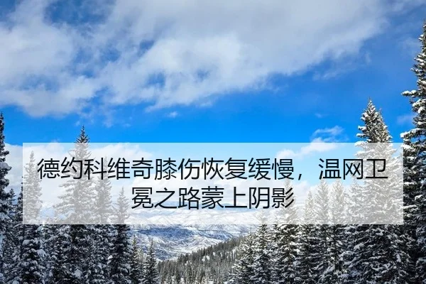 德约科维奇膝伤恢复缓慢，温网卫冕之路蒙上阴影