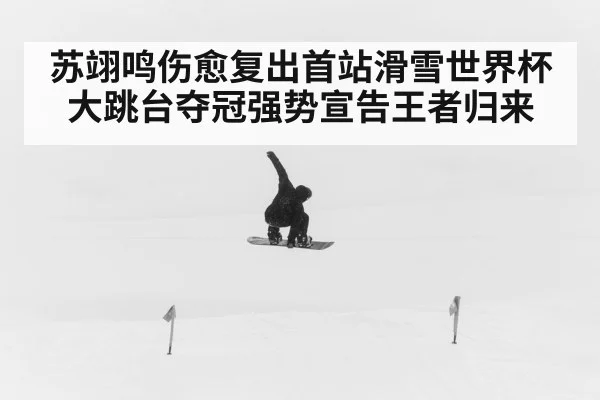 苏翊鸣伤愈复出首站滑雪世界杯大跳台夺冠强势宣告王者归来