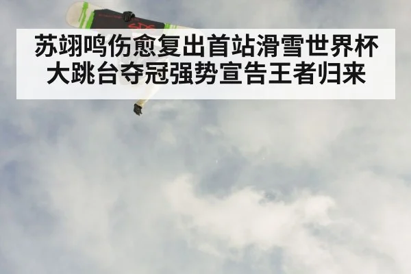 snowboarder aerial trick