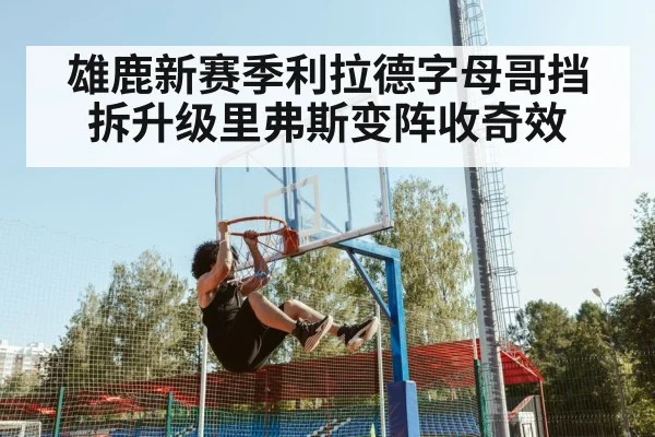 雄鹿新赛季利拉德字母哥挡拆升级里弗斯变阵收奇效