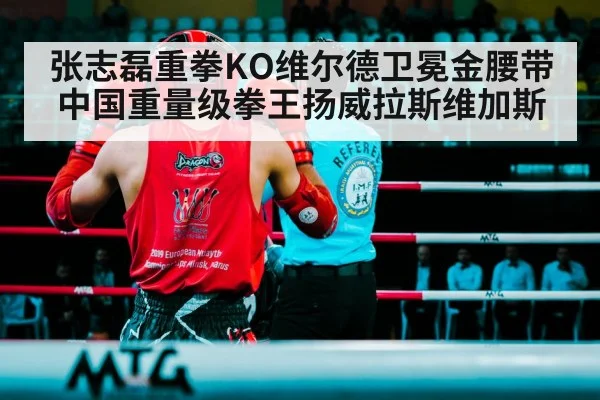 张志磊重拳KO维尔德卫冕金腰带 中国重量级拳王扬威拉斯维加斯